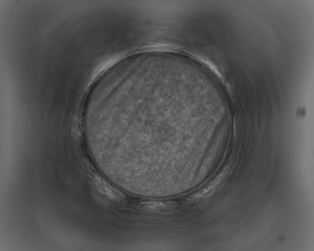 X0000096981405200803071019