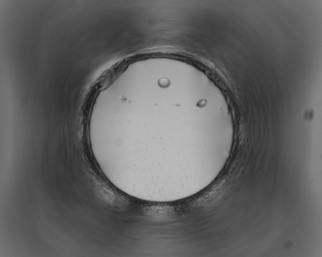 X0000096981406200803071019