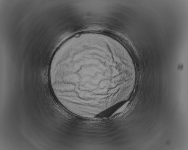 X0000096981409200803071019