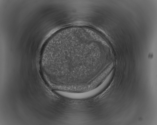 X0000096981410200803071019