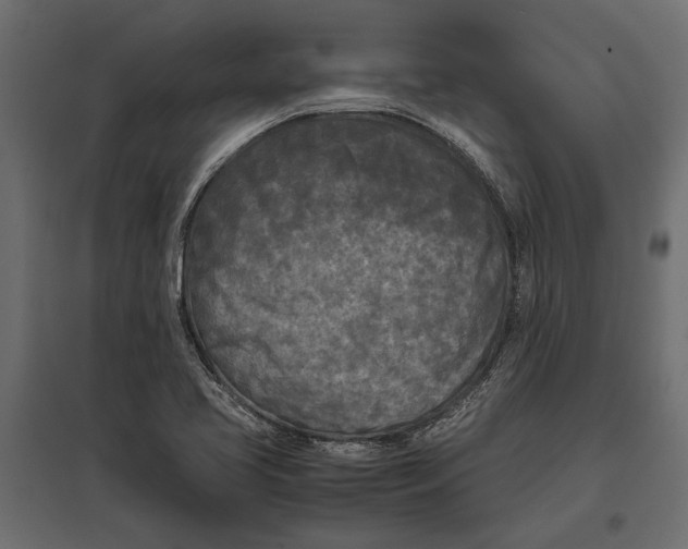 X0000096981413200803071019