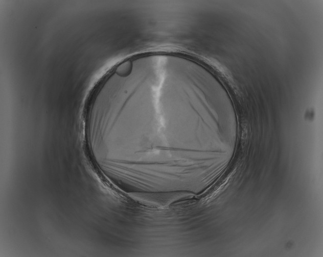 X0000096981414200803071019