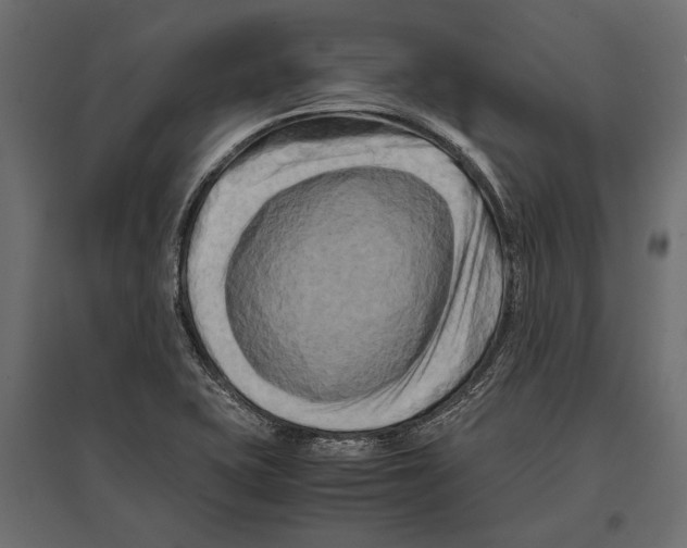 X0000096981415200803071019