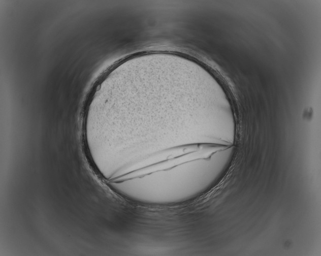 X0000096981416200803071019