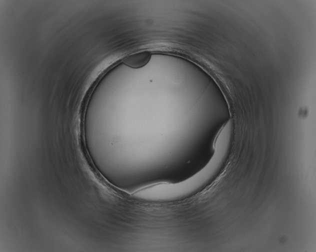 X0000096981418200803071019