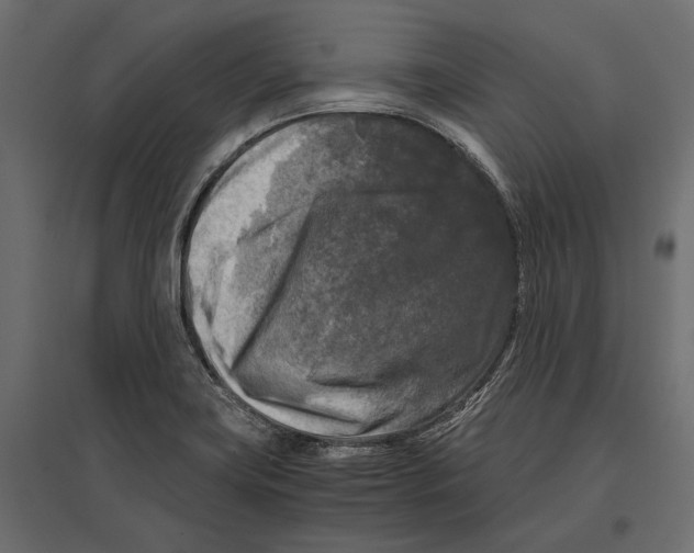 X0000096981419200803071019