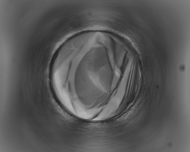 X0000096981422200803071019