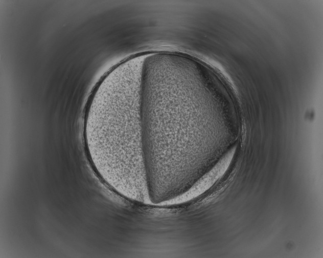 X0000096981424200803071019