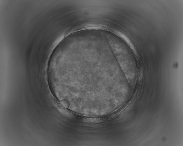 X0000096981427200803071019