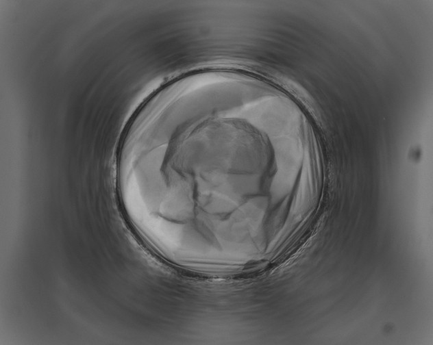 X0000096981428200803071019