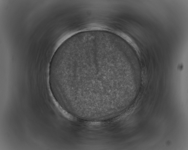 X0000096981431200803071019