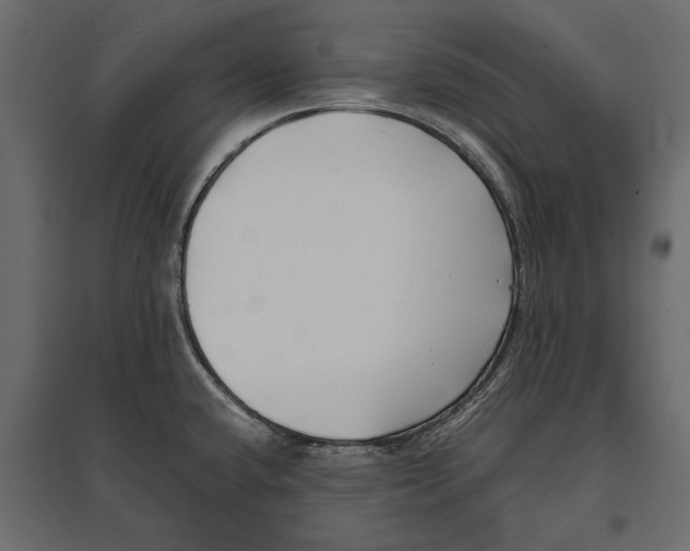 X0000096981432200803071019