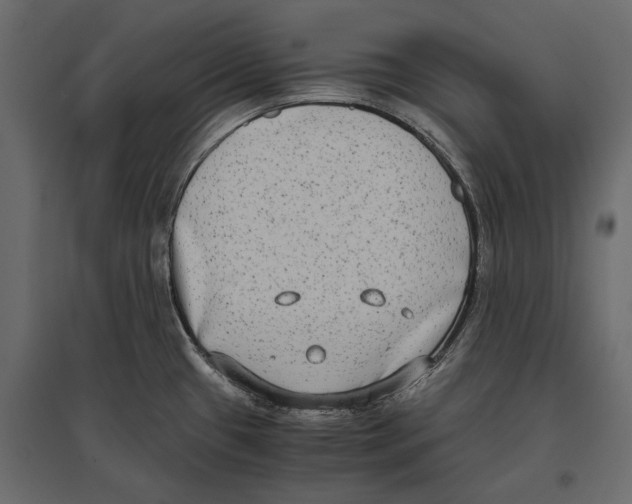 X0000096981433200803071019