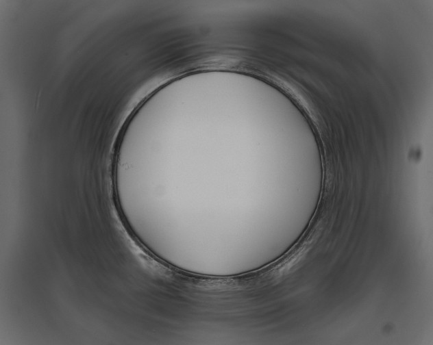 X0000096981434200803071019