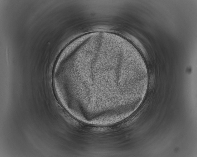 X0000096981435200803071019