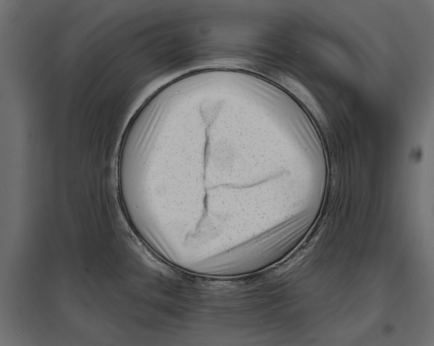 X0000096981436200803071019