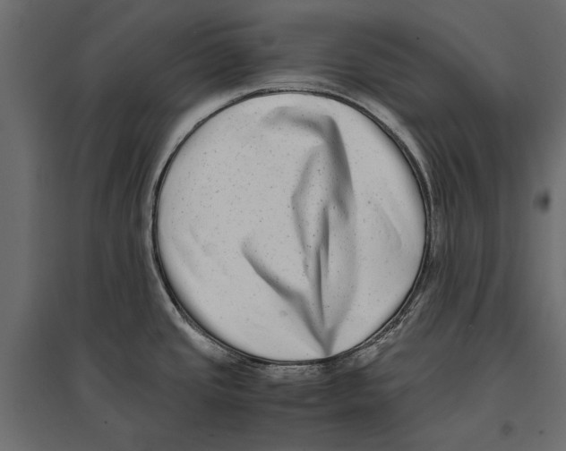 X0000096981437200803071019