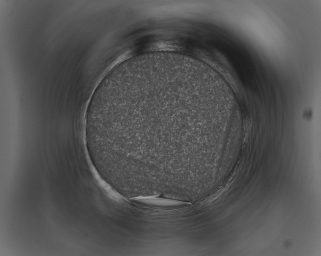 X0000096981439200803071019