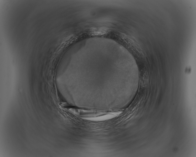 X0000096981441200803071019