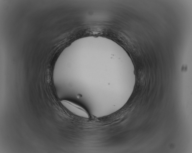 X0000096981442200803071019