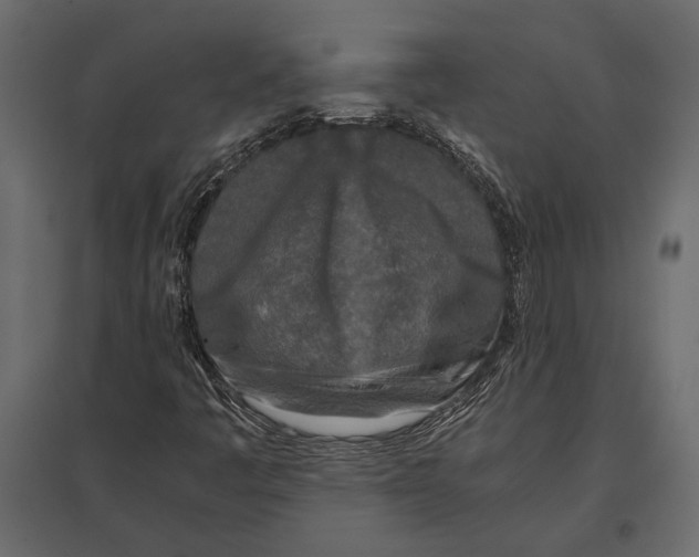 X0000096981445200803071019