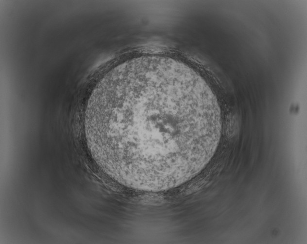 X0000096981446200803071019