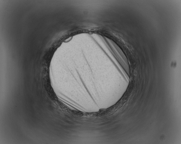 X0000096981447200803071019