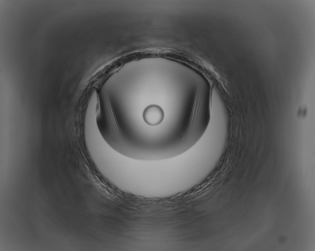 X0000096981448200803071019