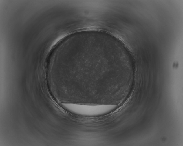 X0000096981450200803071018