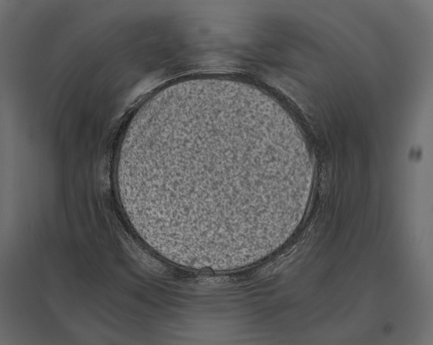 X0000096981451200803071018