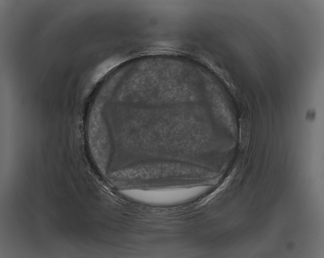 X0000096981453200803071018