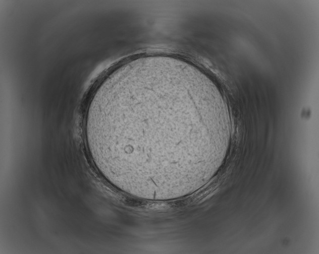 X0000096981454200803071018