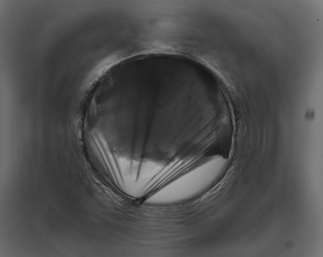 X0000096981455200803071018