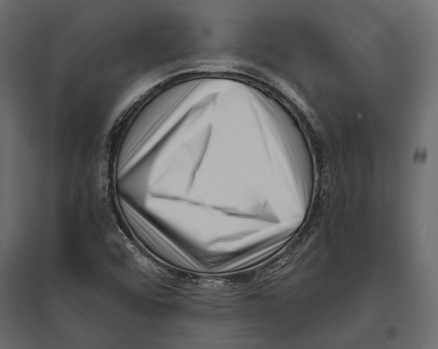 X0000096981456200803071018