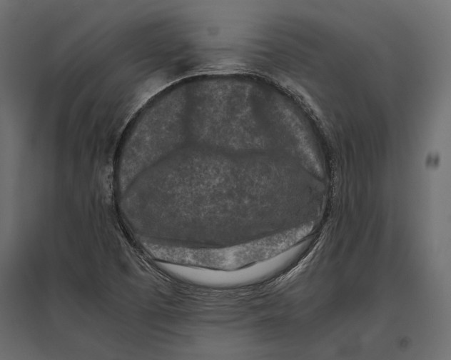 X0000096981457200803071018