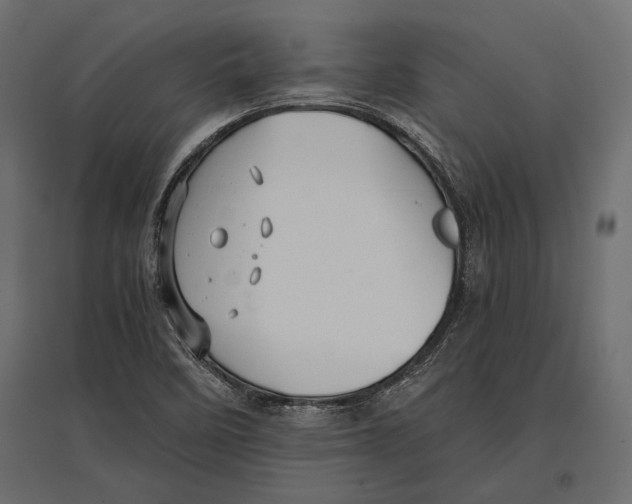 X0000096981458200803071018