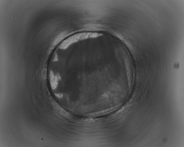 X0000096981459200803071018