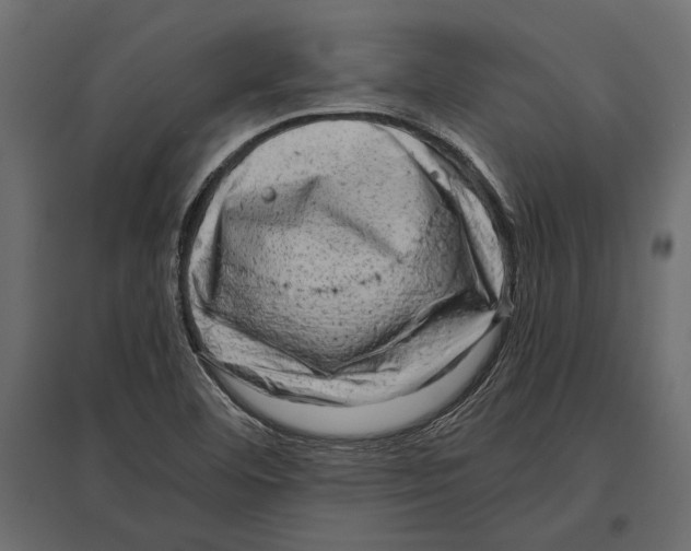 X0000096981460200803071018