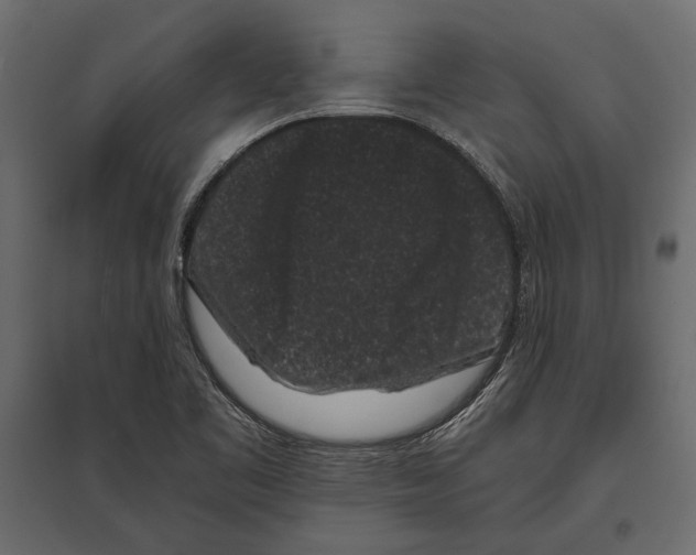 X0000096981461200803071018