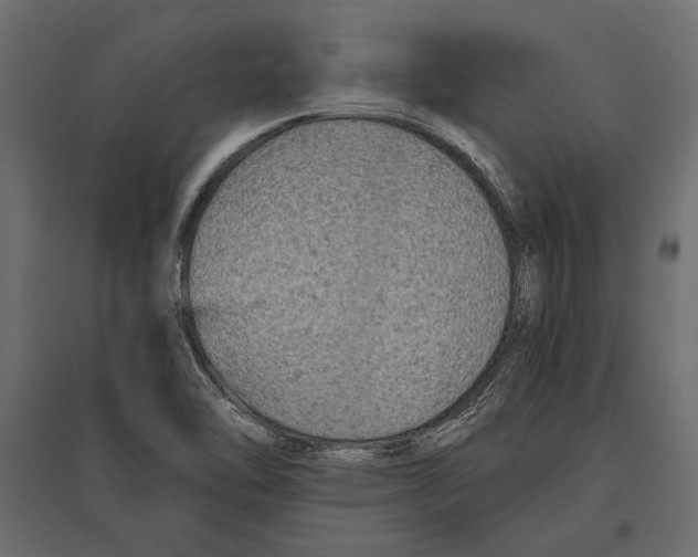 X0000096981462200803071018