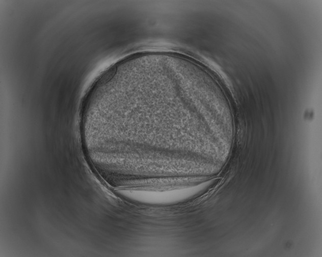 X0000096981464200803071018