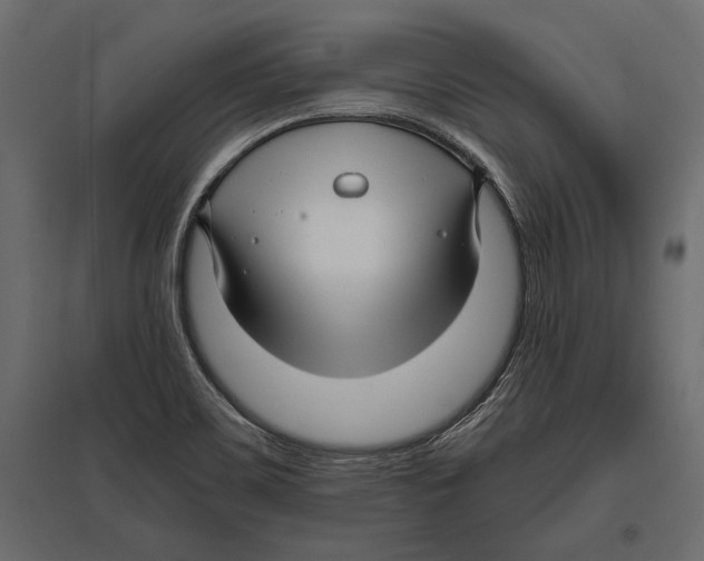 X0000096981467200803071018