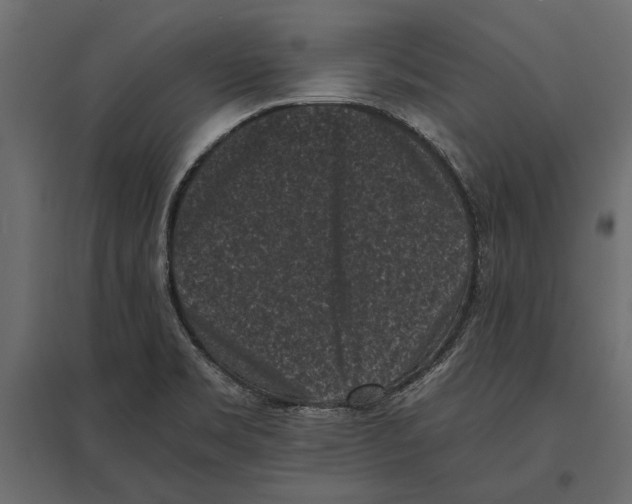 X0000096981469200803071018