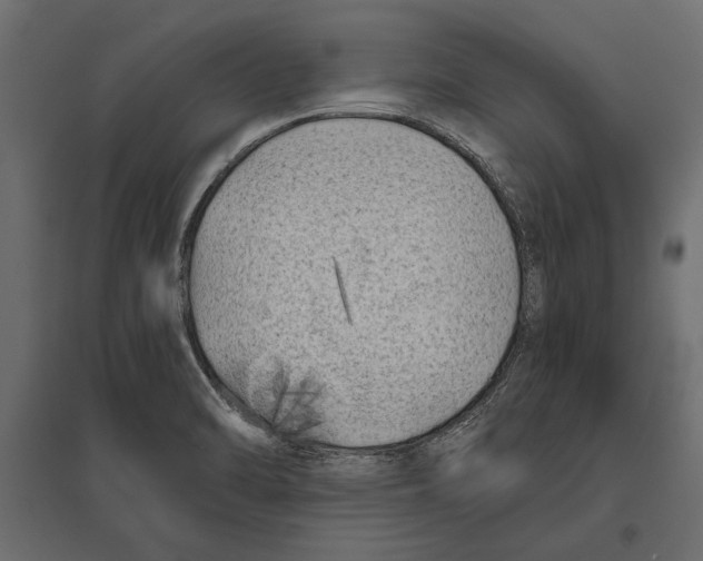 X0000096981470200803071018