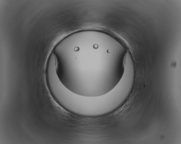 X0000096981471200803071018