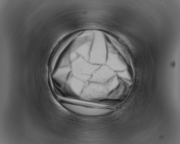 X0000096981476200803071018