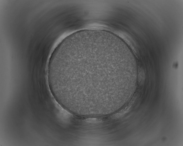 X0000096981478200803071018