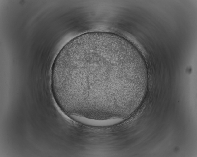 X0000096981479200803071018