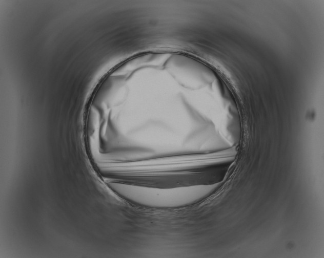 X0000096981480200803071018