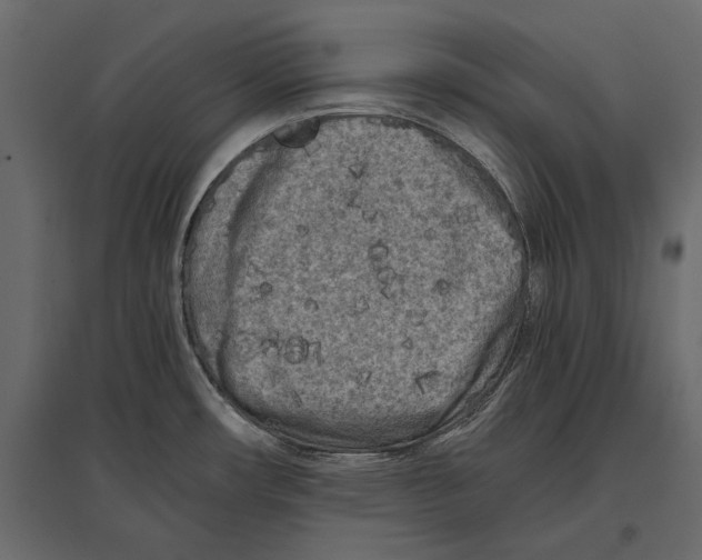 X0000096981482200803071018